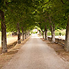 Villa Passerini - villa per ricevimenti a Cortona