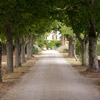 Villa Passerini - villa per ricevimenti a Cortona